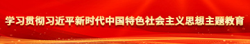 九九操屄视频学习贯彻习近平新时代中国特色社会主义思想主题教育